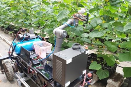 無人小黃瓜採收車
