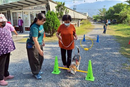 學生引導長輩帶領狗狗一起穿越障礙物，訓練認知與肌力