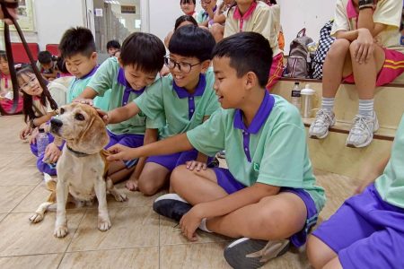 學童與工作犬近距離互動，理解善待動物與尊重生命