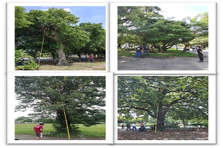 景觀綠化服務中心 450x300