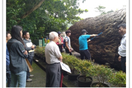 景觀綠化服務中心3