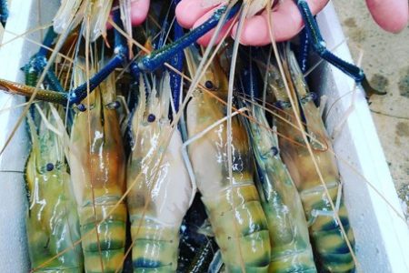 水產養殖科技服務中心2