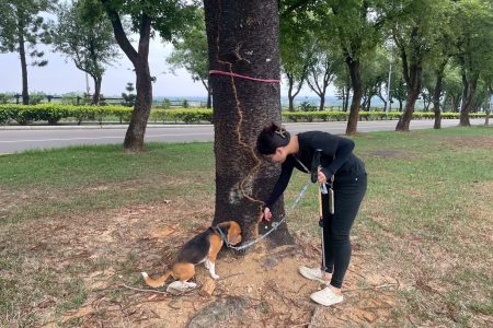 生態保育偵測犬戶外訓練