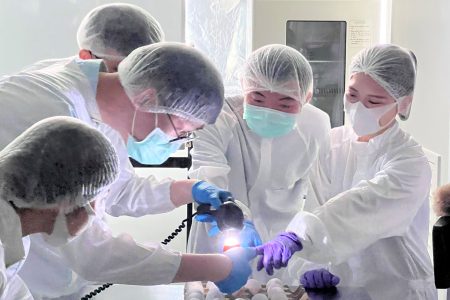 疫苗生產實作(雞胚蛋觀察)